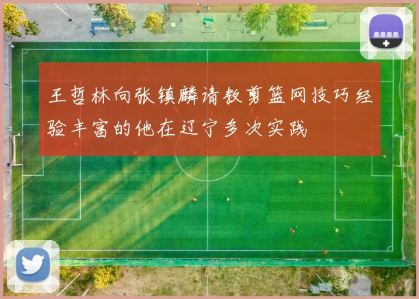 王哲林向张镇麟请教剪篮网技巧经验丰富的他在辽宁多次实践