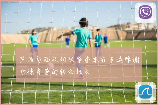 罗马与西汉姆联争夺本菲卡边锋谢尔德鲁普的转会机会